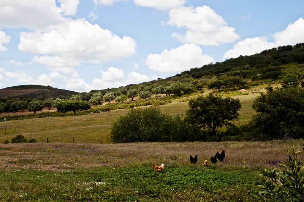 O Monte Do Alhinho - Turismo Rural Monte Costa エクステリア 写真